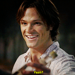SPNG Tags: Sam / Dean / Yeah? / Yeah. Gif obtained from saltnburned’s gifset. Looking for a particular Supernatural reaction gif? This blog organizes them so you don’t have to spend hours hunting them down.