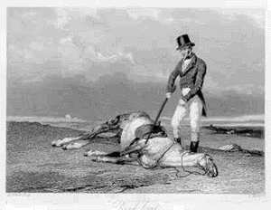beating a dead horse photo: Beating a dead horse Beating-a-dead-horse.gif