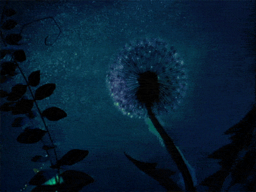  photo tumblr_n1qyndYUuz1tub0hvo1_500_zpsb9276b8d.gif