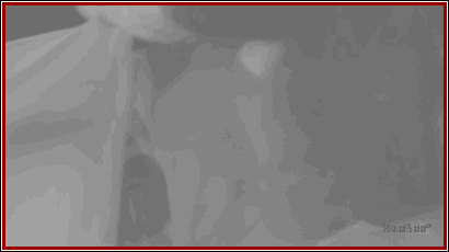 photo BLstoryd3xBbysb_zps75516756.gif