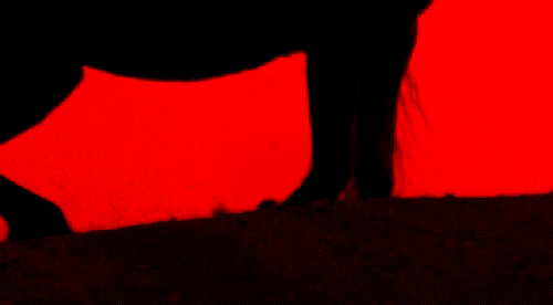 photo tumblr_m5ni29pixo1rtjsq2o1_500_61697_zps1cf8b3e1.gif