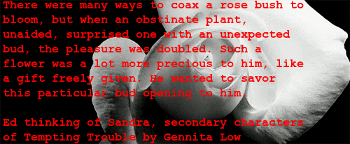  photo oie_9TzkW78vwNZz_zps99af9e0c.gif