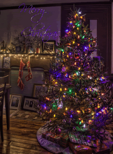 Christmas photo: Christmas 92lllisalllindsay.gif