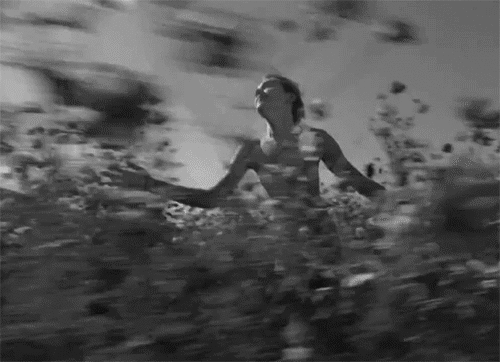  photo oie_16183437TKPIpu5M_zpsc4e2ae2e.gif