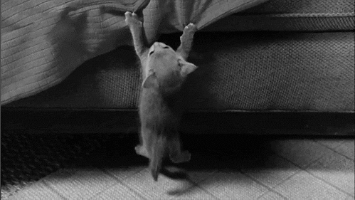 photo hang-in-there_zps6d4b1216.gif