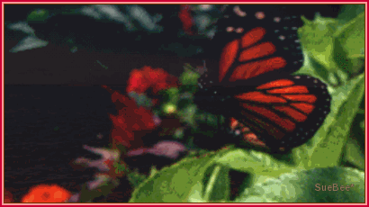 photo MasqstoryxBbysb_zpsee7f3d17.gif