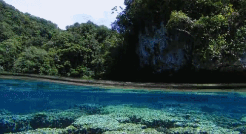 Commercial Photography