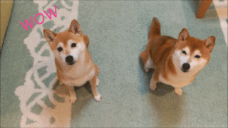 imcqj1wfwdpqq9xrc2x7