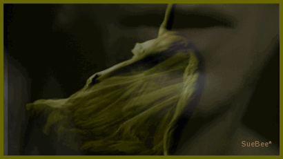 photo Retrace stat0 xB by sb_zpsgdemteby.gif