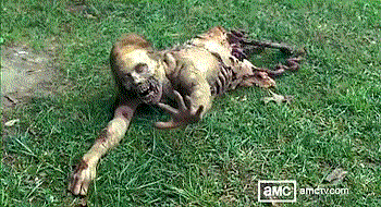 rotting zombie