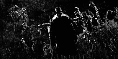 Commercial Photography