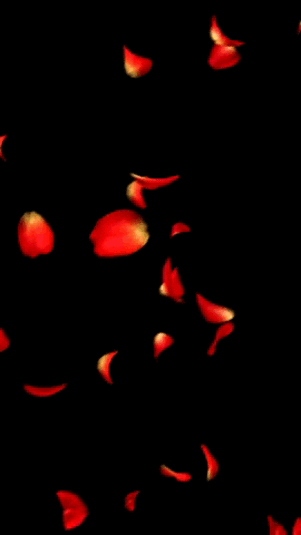  photo tumblr_mnncn4rSkD1stx9kqo1_400_zpsppk58l48.gif