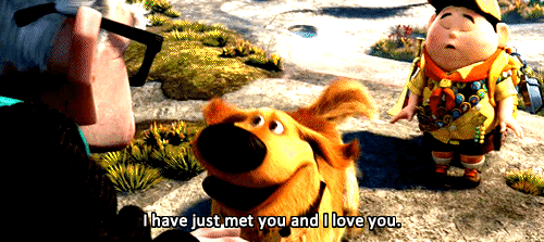 let me love you photo: Up tumblr_lmam7oZ5To1qii6tmo1_500_zpsc1a44f20.gif