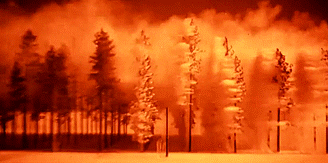 The world falls down...