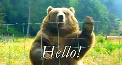 photo C5C6209A-4632-456A-A908-8907FE5F812A_zpsfbjoxijy.gif