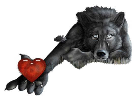 Wolfwithheart