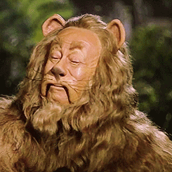 Oz Lion