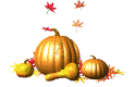 gourds_falling_leaves_md_wht