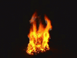 547058_170x100.png
