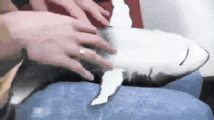 Commercial Photography