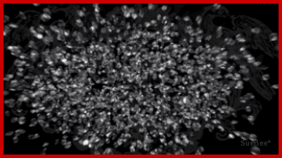  photo fd2 revend xB by sb_zpsaorwsrql.gif