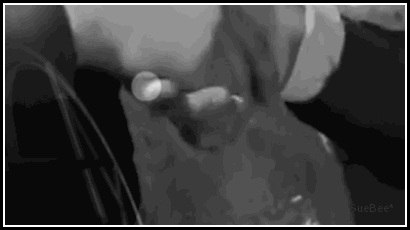  photo pg1 story xB by sb_zpsg9ljsuge.gif