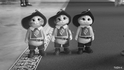 Commercial Photography