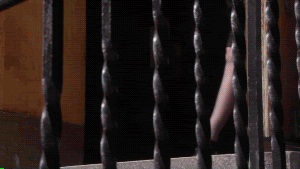 gossip girl photo: Gossip Girl 4186164804_66ece21ea3_o.gif