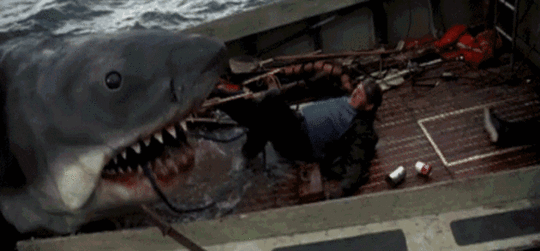 jaws