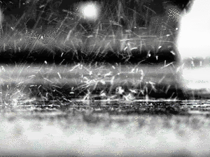 rain photo: Rain rain.gif