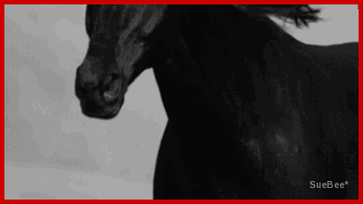  photo Ind3 revend xB by sb_zpsl22wcryt.gif