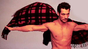gandy in red plaid