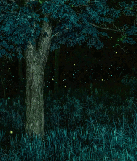 photo tumblr_n9dt3uu3Jr1rjdnouo1_500_zps5xrhjq4n.gif