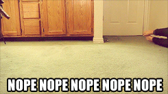 Image and video hosting by TinyPic