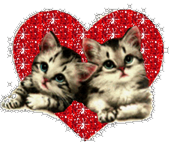 baby kittens photo: kittens Animation8_wwwanimaatjesnl.gif