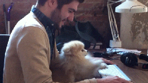 dogtyping
