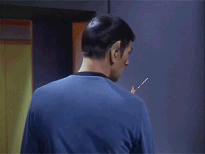 SpockSpaceDog