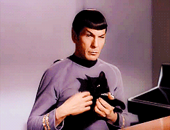 SpockCat