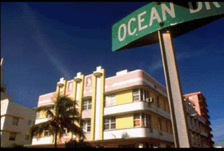 miami photo: Miami 4qn2ek6.gif