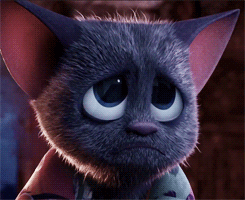 Commercial Photography