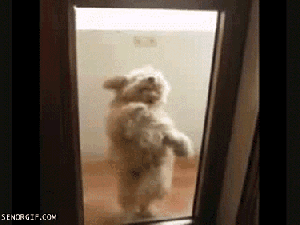 anigif_enhanced-buzz-28844-1385150869-38