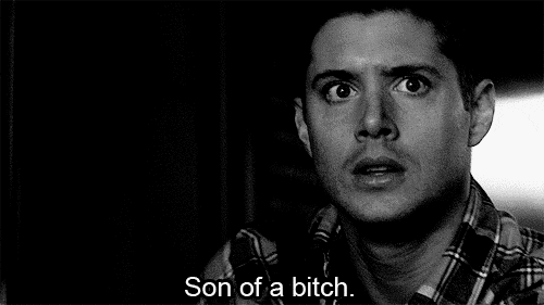 Image and video hosting by TinyPic