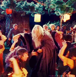 lotr2