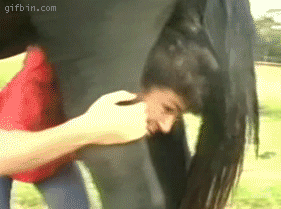 horse pooping on a woman's head