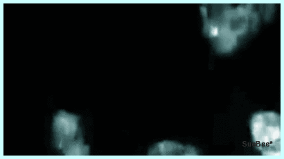 photo dia1 cover xB by sb_zpsb4zxstxi.gif