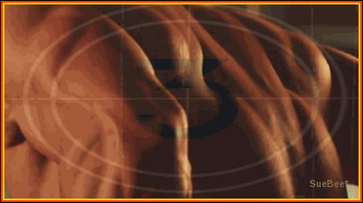 photo 321 cover NEW xB by sb_zpslllqpt9h.gif