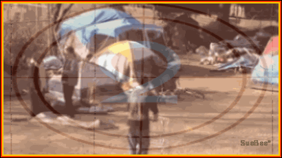 photo 321 story xB by sb_zpsn8lvpp4p.gif