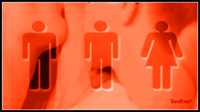  photo tf cover p2 Re xB by sb_zpsozqvt8q6.gif