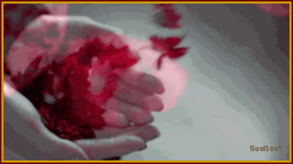  photo exc2 story xB by sb_zps71bbfgzs.gif