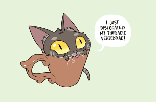 kitten_mug